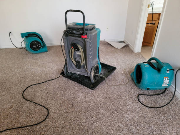 Best Commercial water damage restoration  in Branson, MO