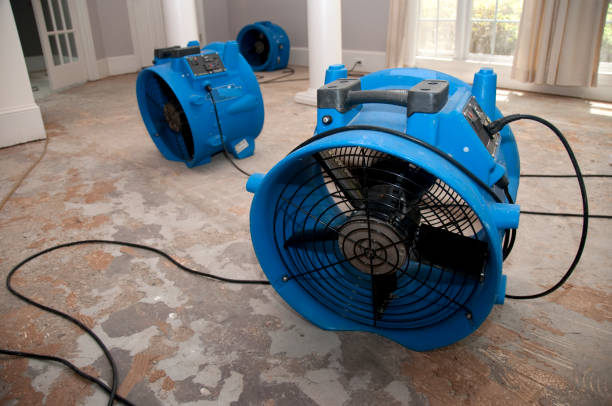 Best Basement water damage restoration  in Branson, MO