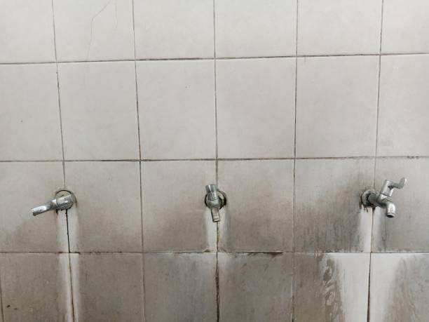 Best Carpet water damage restoration  in Branson, MO